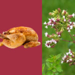 Poulet rôti à l’ail et à l’origan provençal