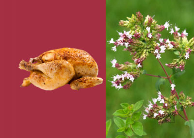 Poulet rôti à l’ail et à l’origan provençal