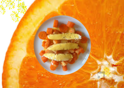 Petite sauce orange givrée fenouil des vignes