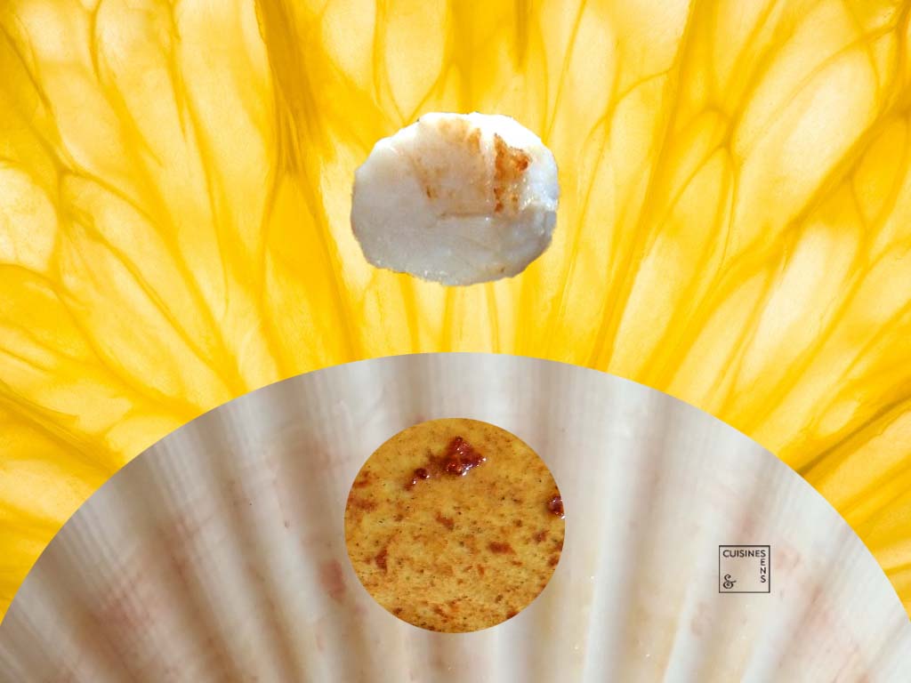 Coquilles Saint Jacques, orange givrée et vinaigre de cidre Cuisine