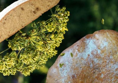 Fougasse fleur d’oranger et anis vert